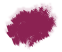 ciclamino